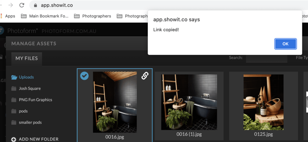 Screenshot showing how to copy the URL from an image in the Showit image library.