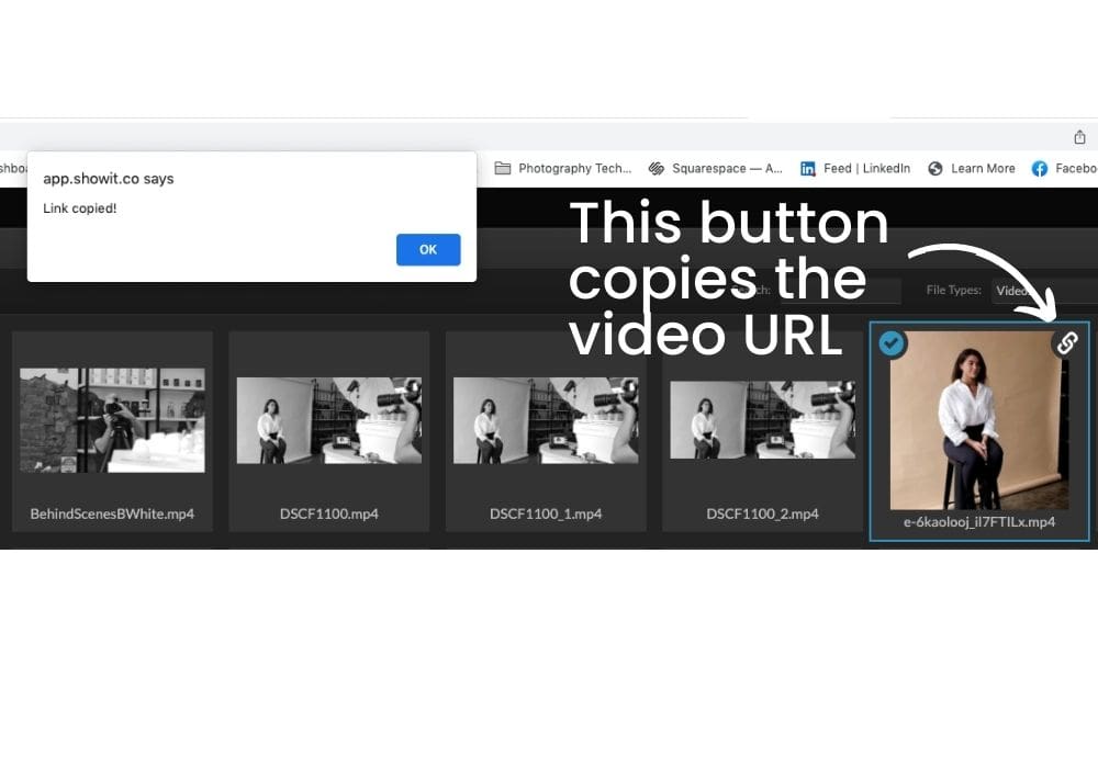 Screen shot showing how to copy image in image library URL in Showit.