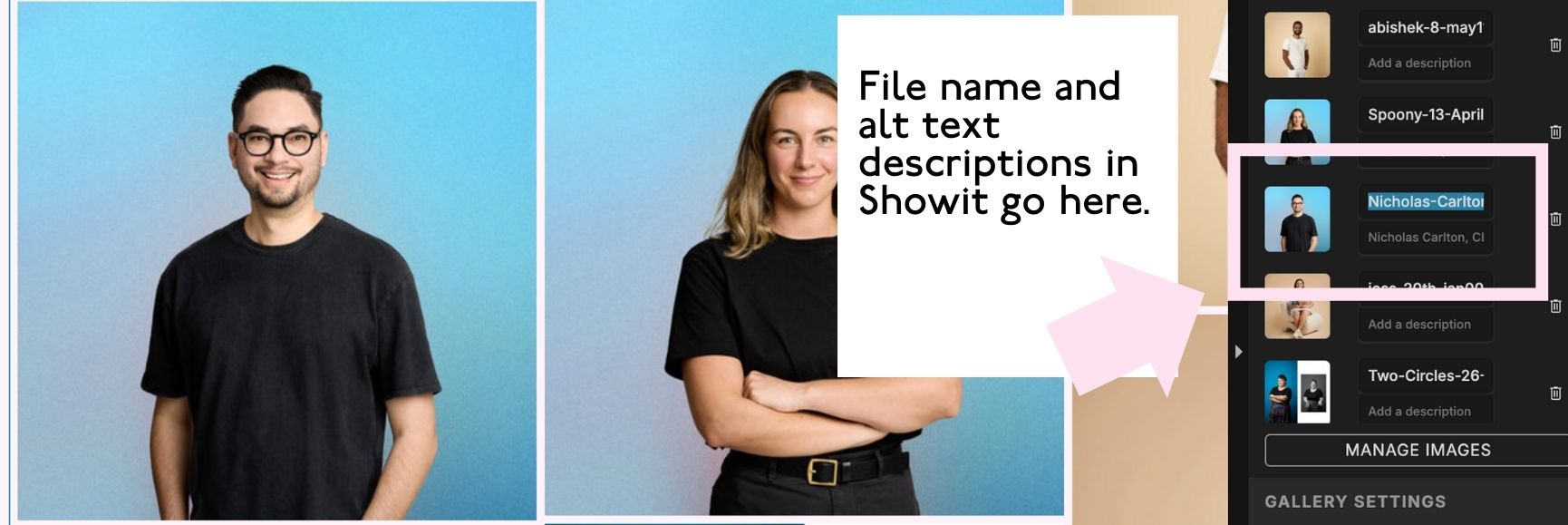 Graphic showing the location for alt text and filenames in the Showit website builder.